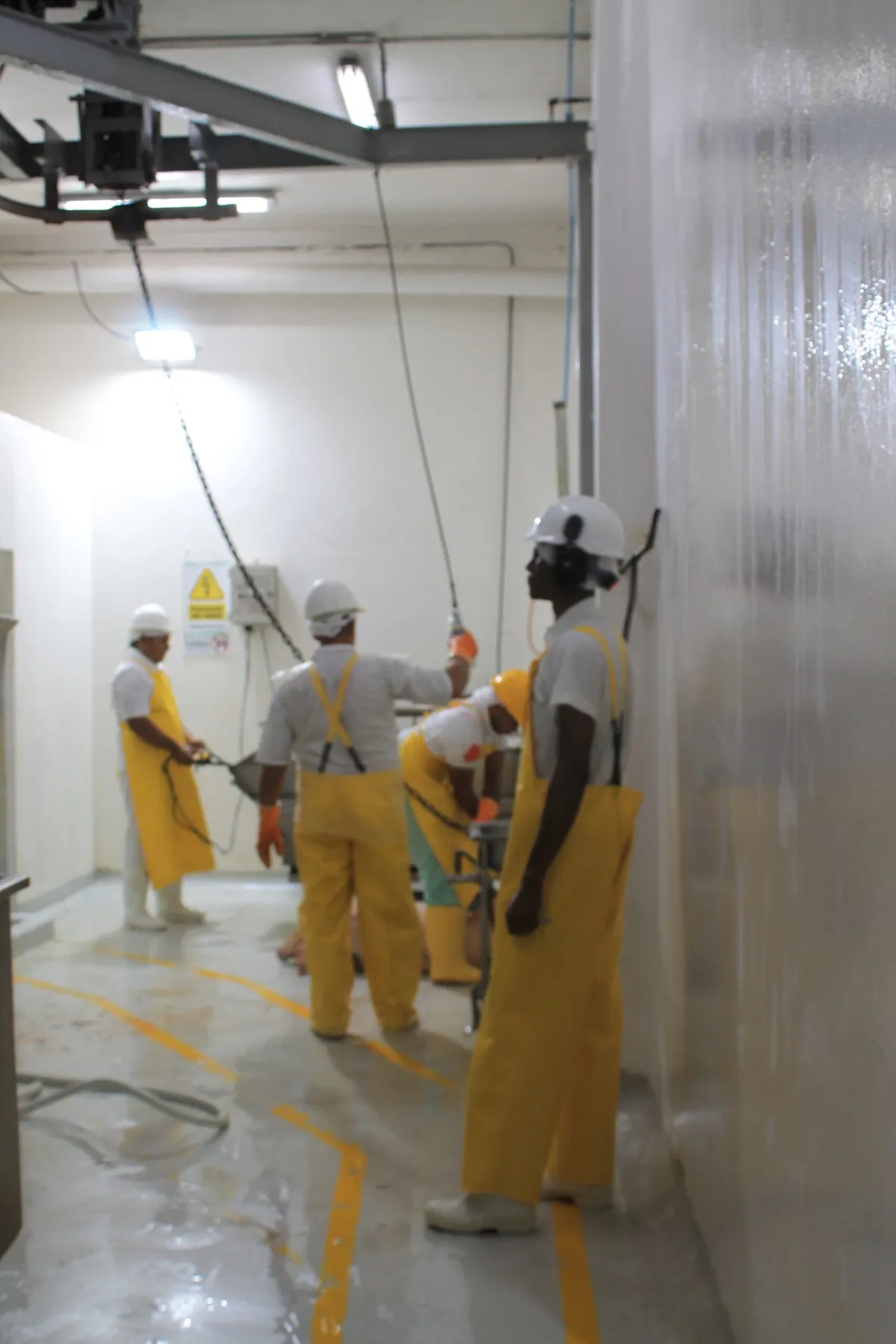 Operarios trabajando en la sala de beneficio